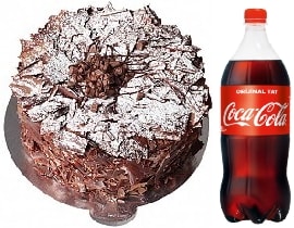 4-6 Kişilik Parça Çikolatalı Pasta Lezzet pasta